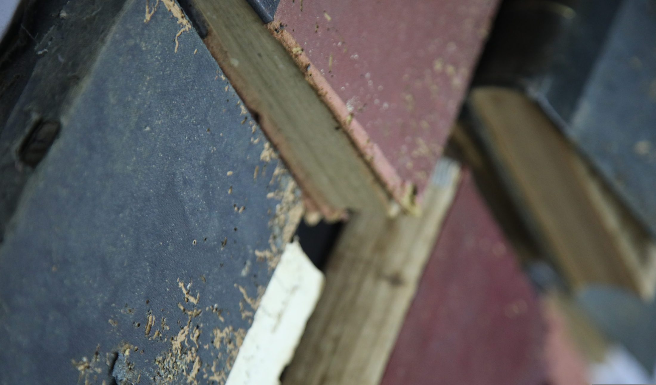 Close-up of aged bound volumes from the SADER legal archive